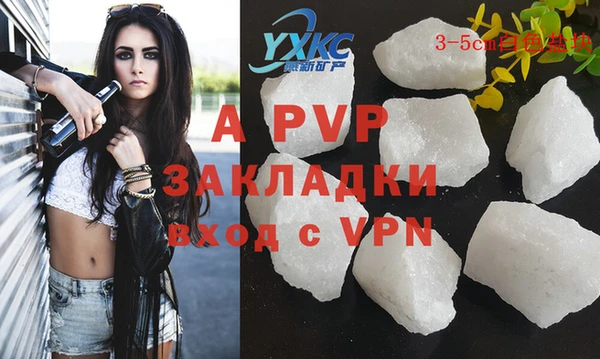 гашик Арсеньев