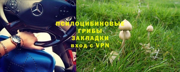 гашик Арсеньев