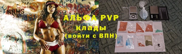 гашик Арсеньев