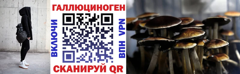 Галлюциногенные грибы Psilocybine cubensis  Купить где  Строитель 